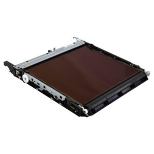 Cinghia Trasnferimento Assembly Originale