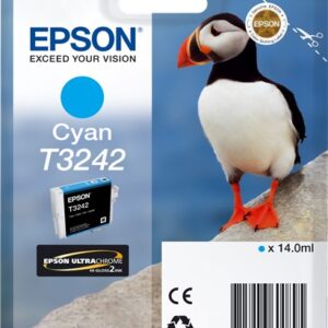 Cartuccia Originale Ciano (T3242)