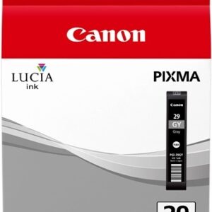 Cartuccia Originale Grigio (PGI-29GY)