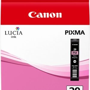 Cartuccia Originale Magenta Foto (PGI-29PM)