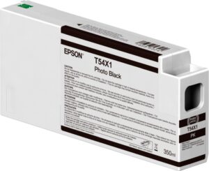 Cartuccia Ink Originale Nero Foto (T54X100)