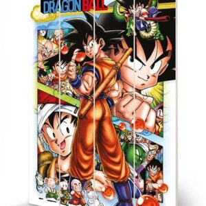 DRAGON BALL COMIC STRIP WOOD PRINT STAMPA SU LEGNO PYRAMID INTERNATIONAL