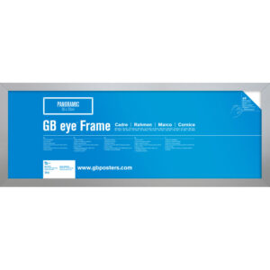 GBEYE - MDF Silver Frame - 33 x 95cm -