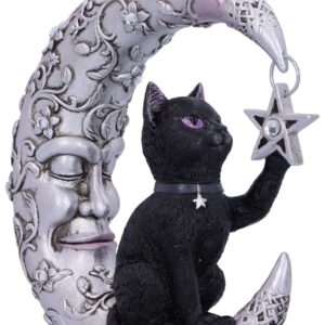 Luna Companion Moon E Cat Ornament Figura Nemesis Now