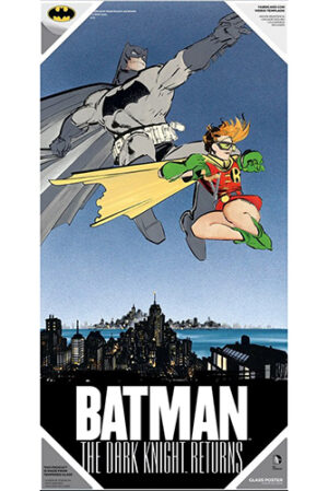 Poster Dk Ret Batman E Robin Poster Di Vetro Sd Toys
