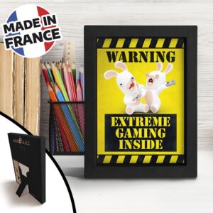 RAVING RABBIDS - Cadre Kraft - "Extreme Gaming Inside"