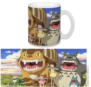 Studio Ghibli Totoro Nekobustoazza