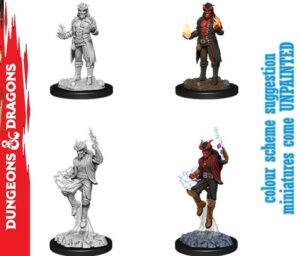 Wizkids D&d Nolzur Mum Tiefling Male Sorcerer Miniature E Modellismo