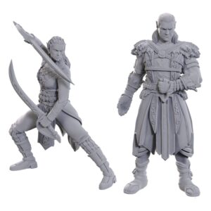 D&d Nolzur's Marvelous Miniatures Unpainted Miniature Jaheira & Halsin Wizbambino