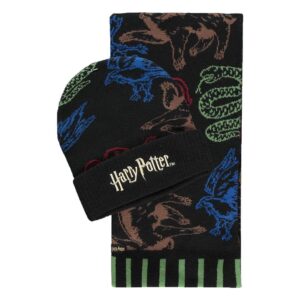 Harry Potter Berretto & Sciarpa Set Hogwarts Houses Colored Difuzed