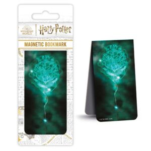 HARRY POTTER HOGWARTS PATR MAGN BOOMRK Segnalibro Pyramid International