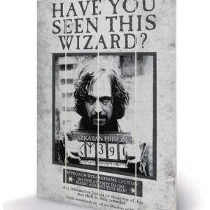 HARRY POTTER SIRIUS WANTED WOOD PRINT STAMPA SU LEGNO PYRAMID INTERNATIONAL