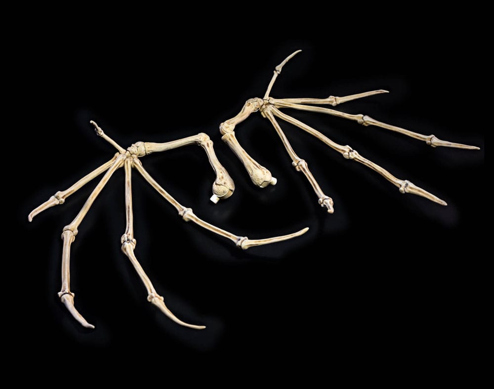 Mythic Legions: All Stars 6 Action Figura Accessorys Bone Wings Four Horsemen Toy Design