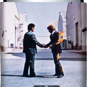 Pink Floyd: Wish You Were Here Can Cooler NMR Distribution