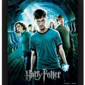 POSTER 3D LENT HARRY POTTER FENICE - GADGET