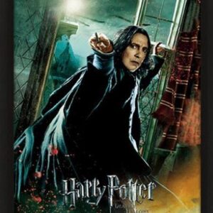 POSTER 3D LENT HARRY POTTER SNAPE - GADGET