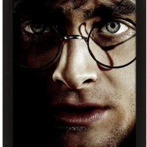 POSTER 3D LENT HARRY POTTER VOLDEMORT - GADGET