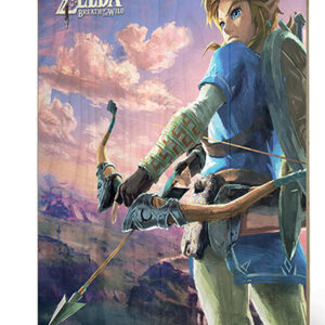 PYRAMID INTERNATIONAL LEG OF ZELDA BOTW LANDSCAPE WOOD PRINT STAMPA SU LEGNO