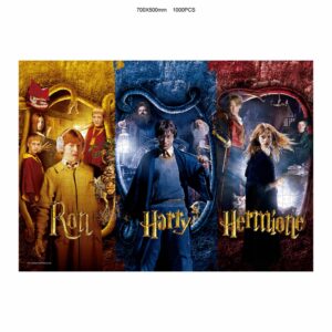 Sd Toys Harry Potter Harry Ron E Hermione 1000 Pezzi Puzzle Puzzle