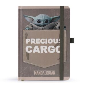 Star Wars The Mandalorian Premium Agenda A5 Precious Cargo Pyramid International