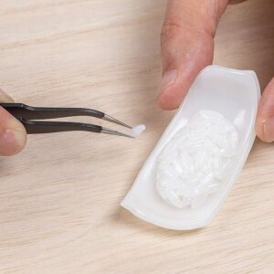 Sushi Squid Plastica Model Kit Model Kit Syuto Seiko