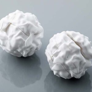 Trash Plastica Model Kit Model Kit Goodsmile Fr