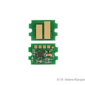 Resetting Chip Tamburo