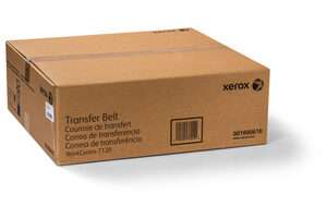 Cinghia Trasferimento Originale