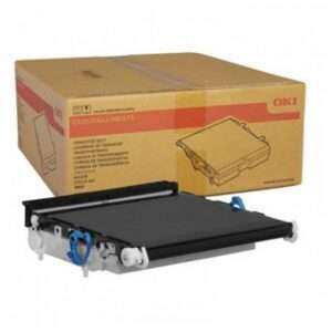 Cinghia Trasferimento Originale