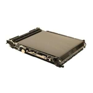 Cinghia Trasferimento Originale