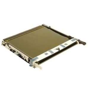 Cinghia Trasferimento Originale