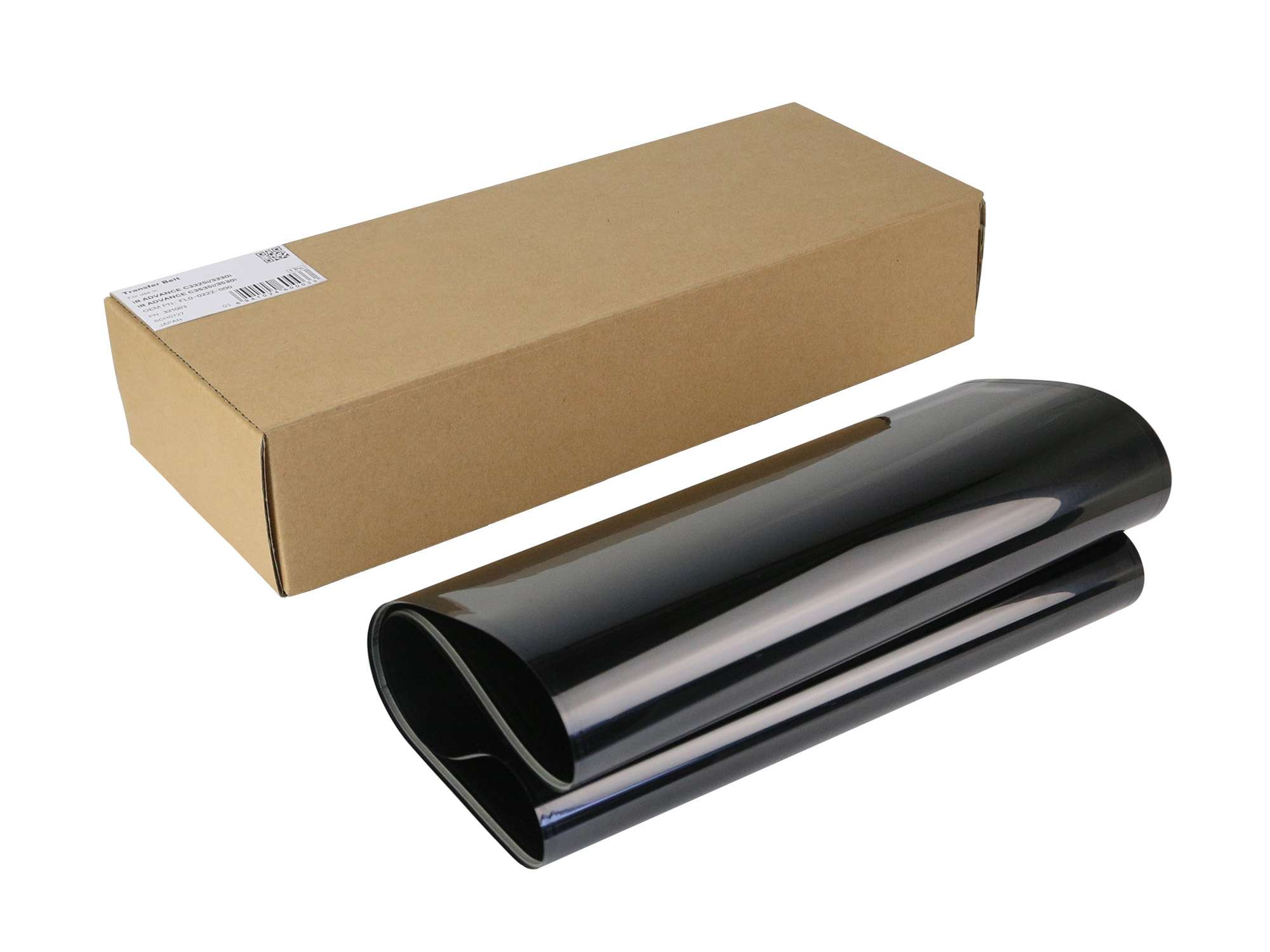 Cinghia Trasferimento Compatibile