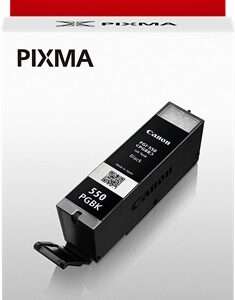 Cartuccia Originale Nero (PGI-550PGBK)