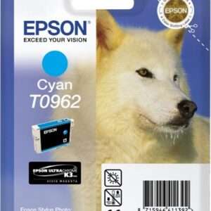 Cartuccia Originale Ciano (T0962)