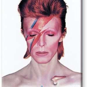 AQUARIUS ENT BOWIE ALADDIN SANE FLAT MAGNET MAGNETI