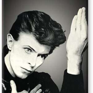 AQUARIUS ENT BOWIE HEROES FLAT MAGNET MAGNETI