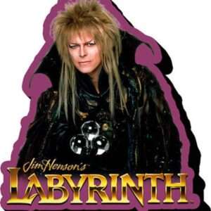 AQUARIUS ENT LABYRINTH JARETH MAGNET MAGNETI