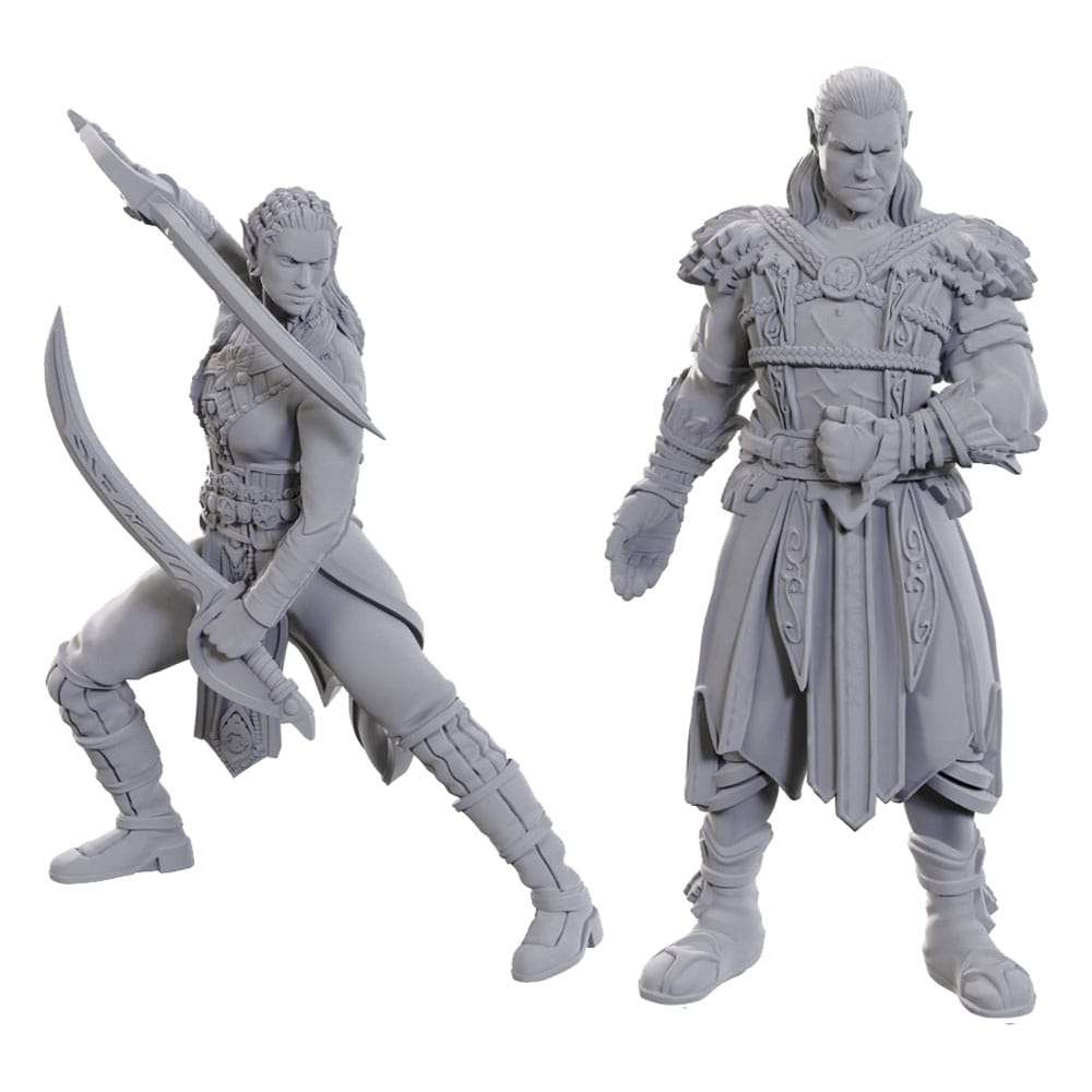 D&d Nolzur's Marvelous Miniatures Unpainted Miniature Jaheira & Halsin Wizbambino