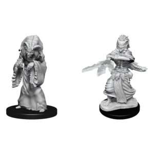 D&d Nolzur's Marvelous Miniatures Unpainted Miniatures Night Hag & Dusk Hag Case (6) Wizkids