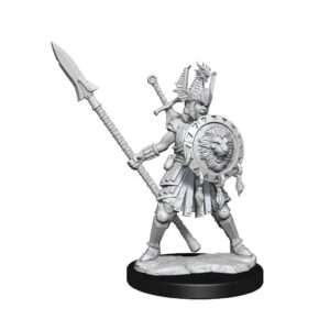 Dungeons & Dragons Frameworks Miniature Model Kit Human Fighter Female Wizkids