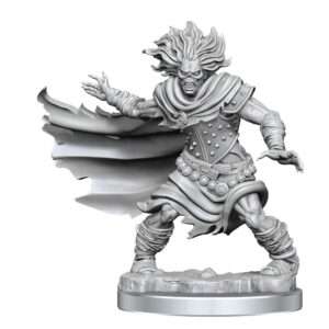 Dungeons & Dragons Frameworks Miniature Model Kit Wight Wizkids