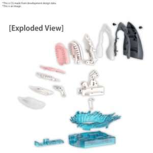 EXPLORING LAB NATURE GREAT WHITE SHARK MODEL KIT BANDAI MODEL KIT
