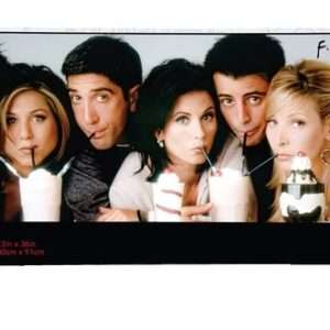 Friends Milkshake 1000  Pezzi Slim Puzzle Puzzle Aquarius Ent