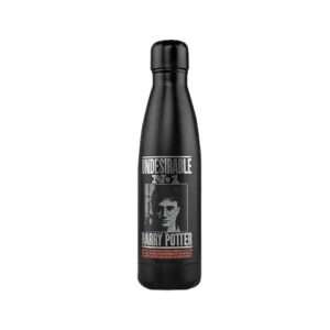 Harry Potter Bottiglia Isotermica 500ml Harry Ricercato