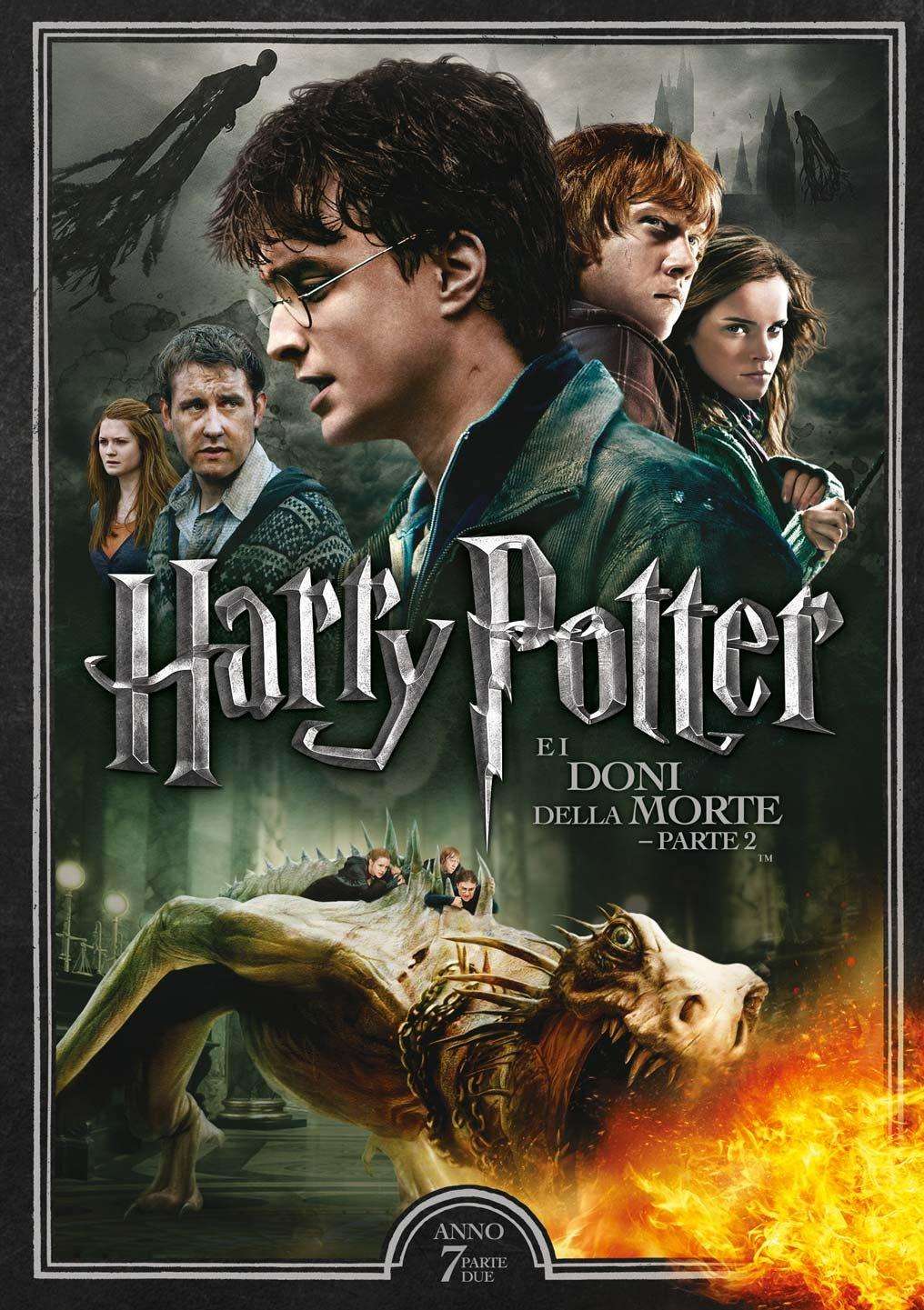 Harry Potter e I Doni della Morte - Parte 2 DVD Warner Bros.