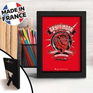 Harry Potter - Frame Kraft 15x20cm - Pop Color - Grifondoro