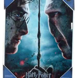 Harry Potter Poster Di Vetro Harry & Voldemort 30 X 40 Cm Sd Toys