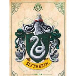 Harry Potter - Poster "Serpeverde" 91.5 x 61 cm AbyStyle