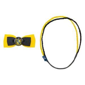 Harry Potter Trendy Hair Accessories 2 Set Tassorosso Cinereplicas