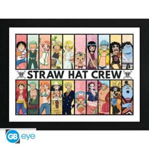 ONE PIECE - Framed print "Past & Present" (30x40)